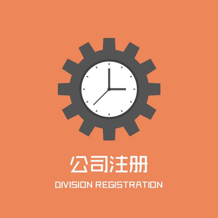 公司注册类型(二)